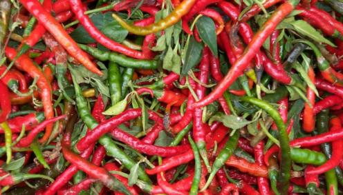 Chillies