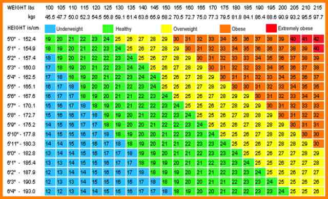 Bmi Disease Risk Chart